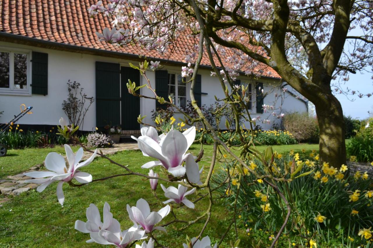 Licques La Longere D'Ecottes Bed & Breakfast エクステリア 写真